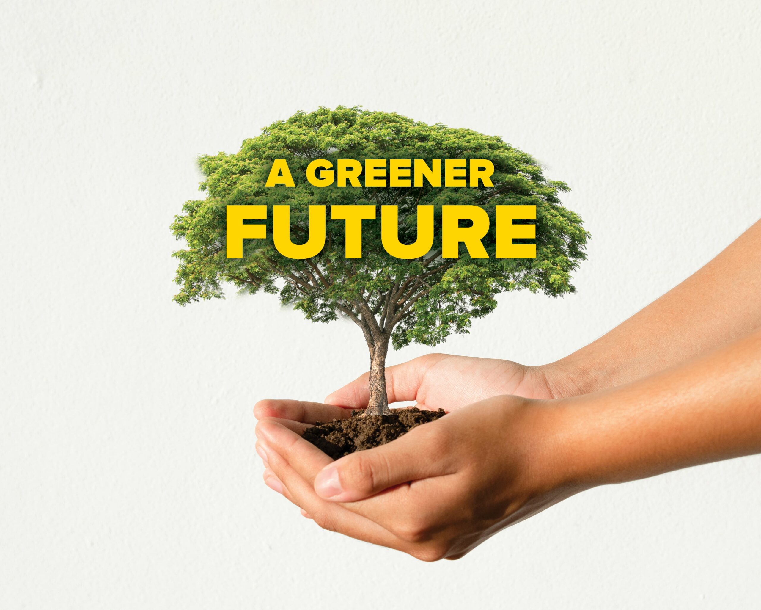 Rooting for Change Celebrating Plant a Tree Day and Growing a Greener Future IBB Hotels